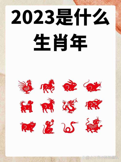 “狗兔”代表什么生肖:狗兔代表什么生肖和动物