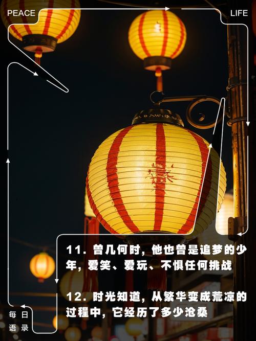 韶光似箭打一生肖是什么:韶光似箭打一生肖是什么数字