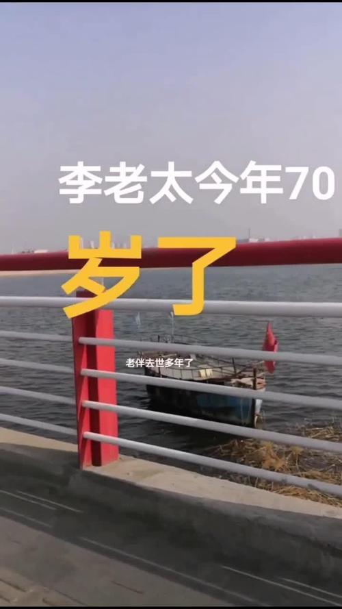李老太玄机图:香港李老太玄机图