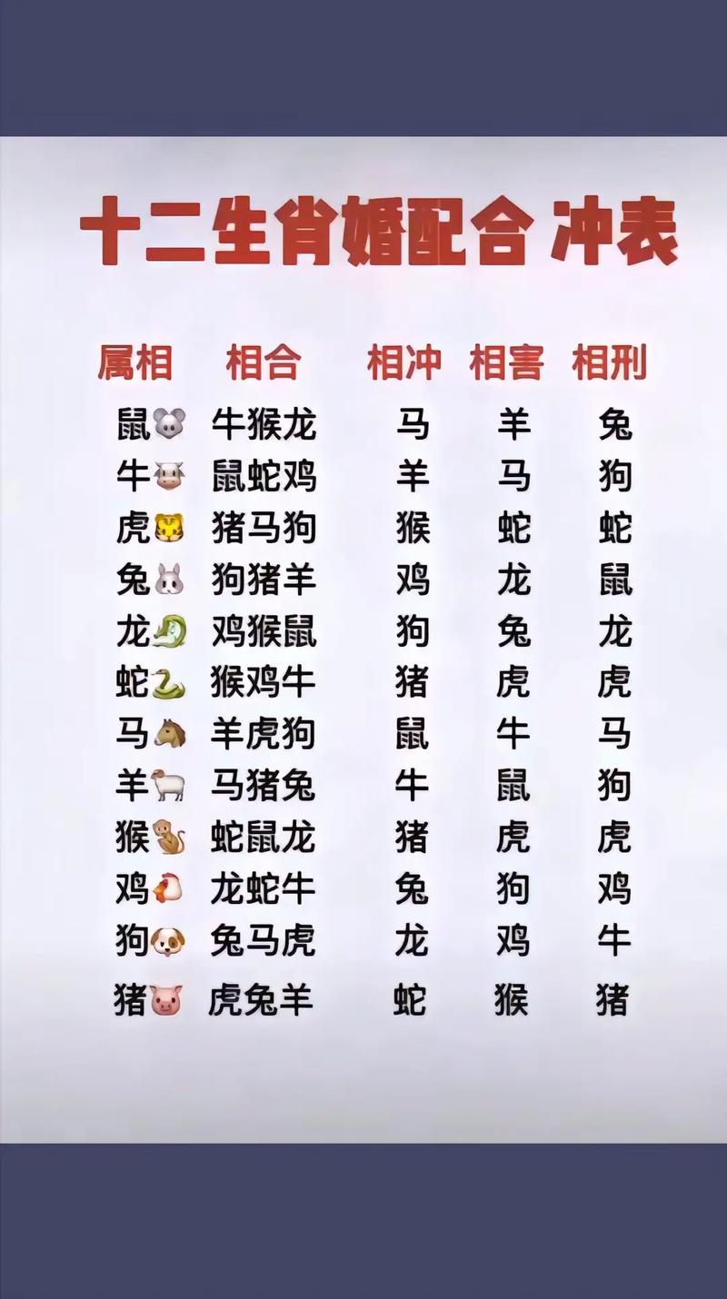 打一生肖最佳配对:什么生肖与什么生肖相配