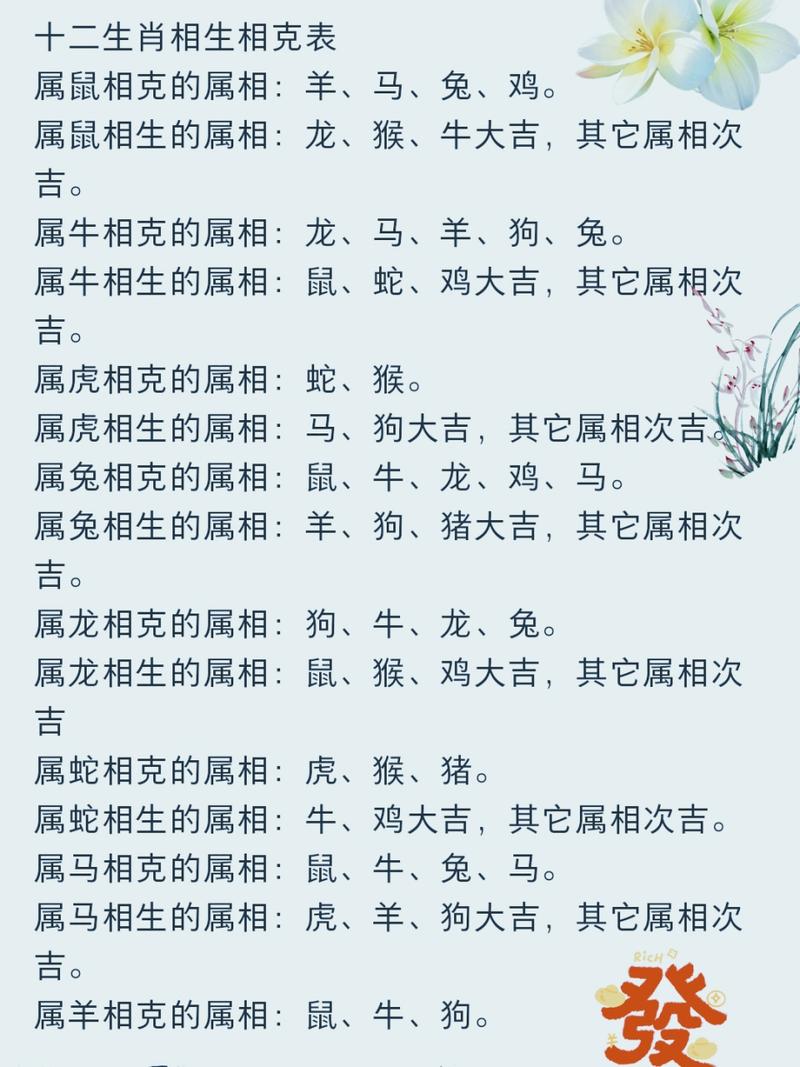 属猪和什么生肖相冲相克:属猪和什么生肖相冲相克呢