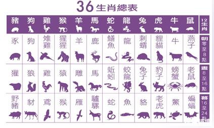 六六来开过什么生肖:今期生肖六六来是什么动物