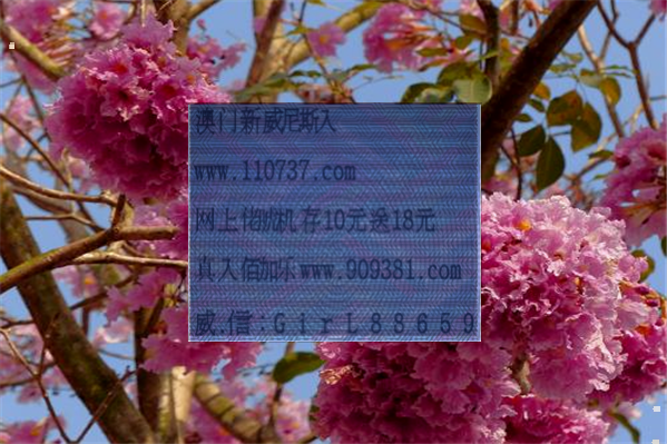 今期特尾三七正确答案:今期特尾二三七,神偷也有失手时