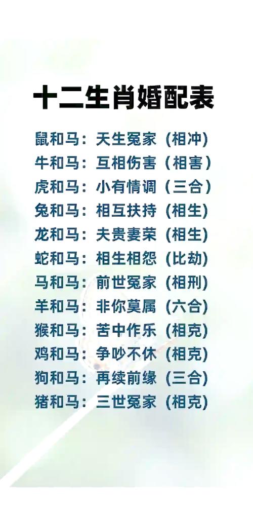 马跟什么生肖配对最好女:马跟什么生肖配对最好女孩