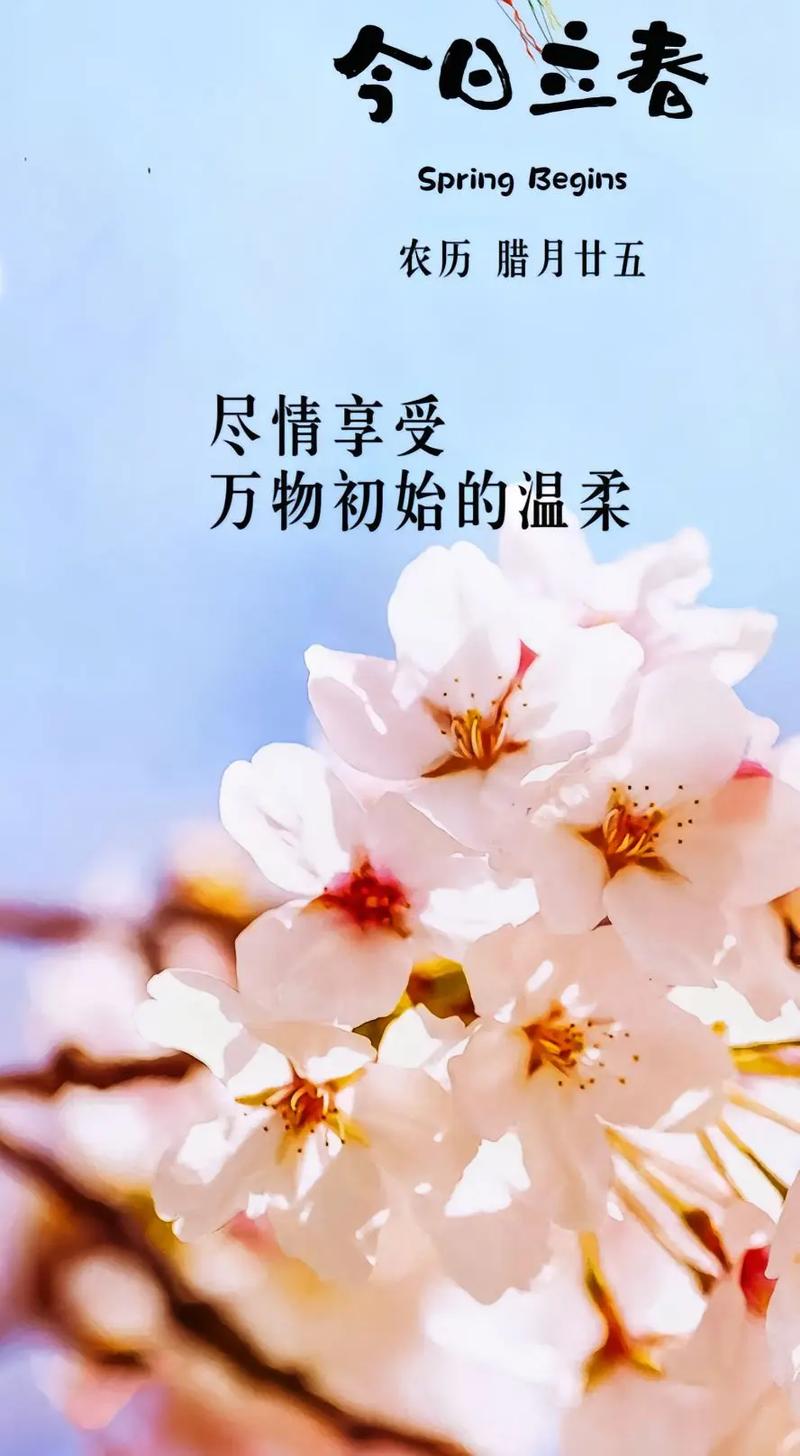 立春最准确一个数字:立春最准确一个数字是什么
