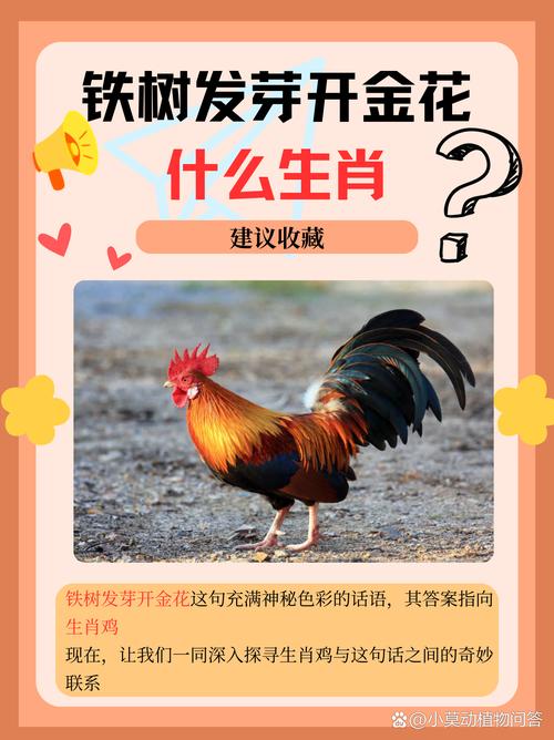 “今期龙蛇鸡出特，三五十二更加四”打一生肖是什么的简单介绍
