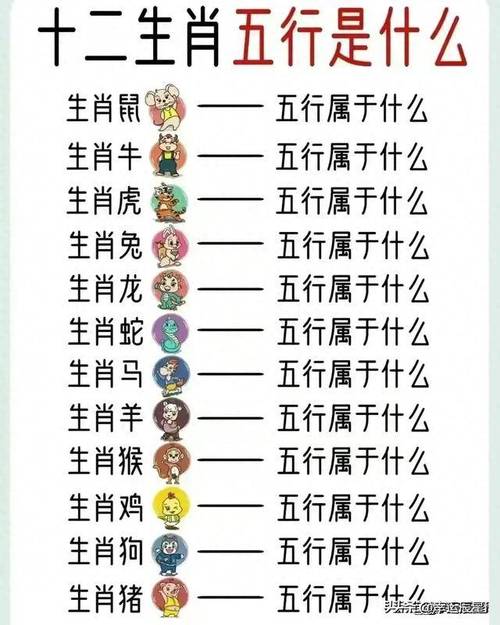 2004年属什么生肖和什么最配:2004年属什么生肖和什么最配对