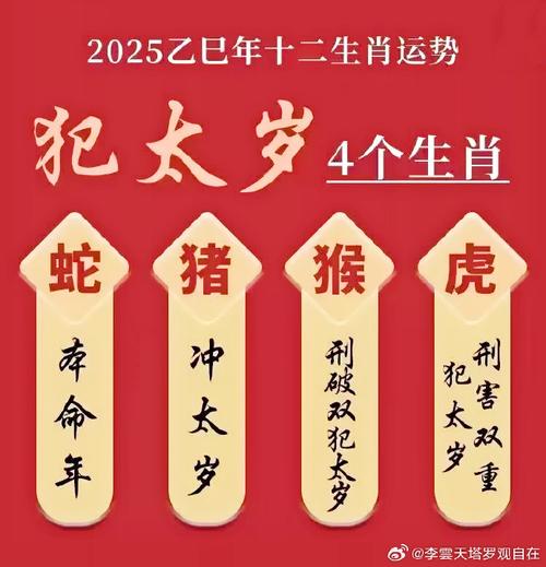 今期生肖九字头什么意思:今期生肖九字头代表什么生肖