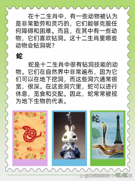 今期生肖最勤劳是什么生肖:今期生肖最勤劳是什么生肖啊