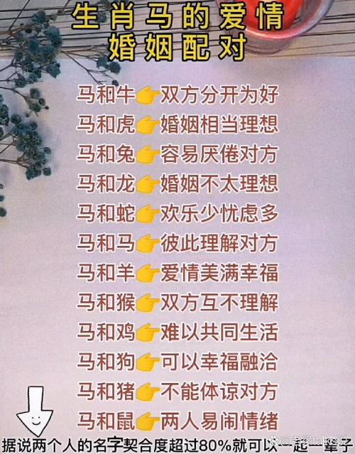 马和什么生肖最旺:马和什么生肖最搭配