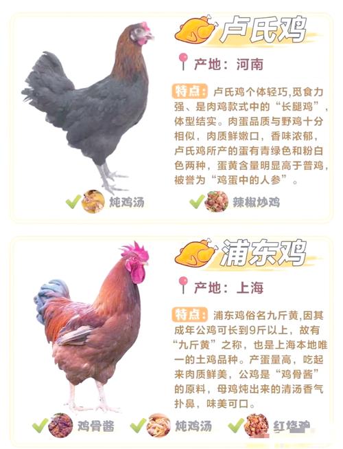 “山青水秀民情樸，鸡鸭成群粮食富”打一个生肖动物的简单介绍