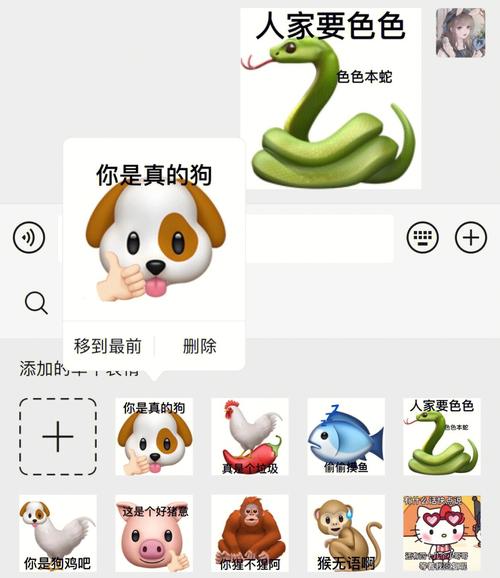 表情包指什么生肖:表情包的动物是什么