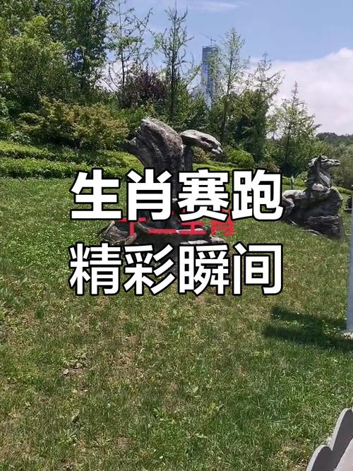 今期生肖地上跑是什么生肖:十二生肖地上跑的动物是什么