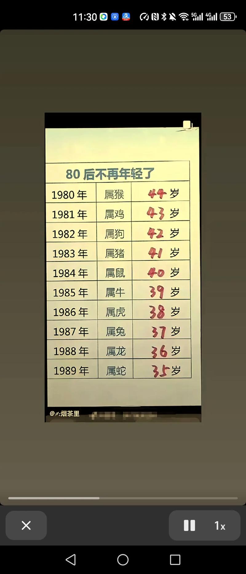 1982什么生肖:1982什么生肖年