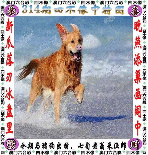 东方今经心今期马报资料:今期东方心经大图彩图2021