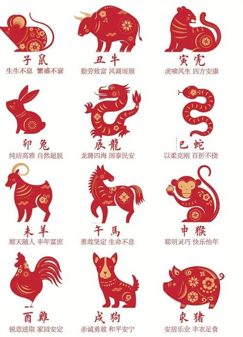 三四今期是什么生肖动物:三四今期定胜出是什么生肖
