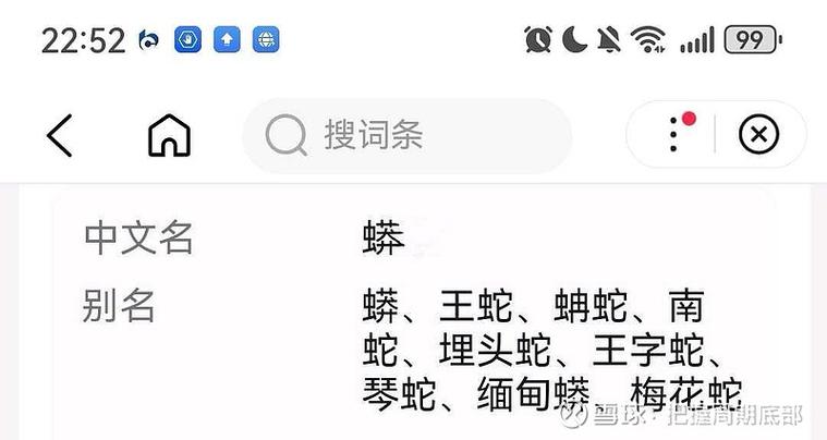 包含竟打一生肖的最佳答案的词条