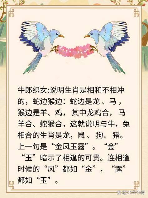 牛郎打一生肖:牛郎打一生肖动物