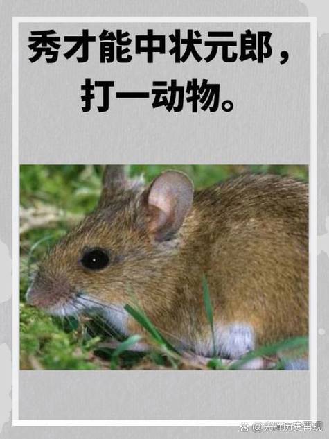 “皇帝出宫游江南，江南美女娇女娇”打一动物生肖的简单介绍