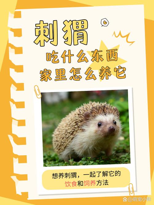 话中带刺打一生肖动物是什么的简单介绍