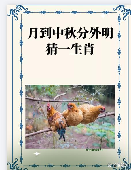 包含今期生肖猜双肖是什么意思啊的词条