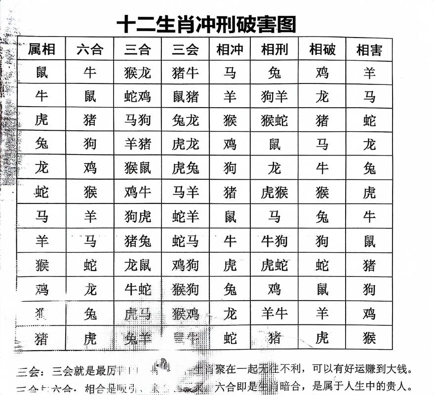 今天什么生肖冲什么生肖:今天什么生肖冲什么生肖啊