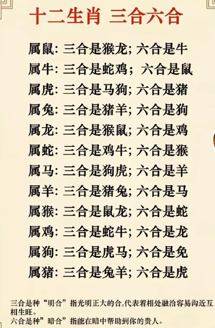 今期生肖大家夸是什么生肖:今期生肖大家夸是什么生肖的动物