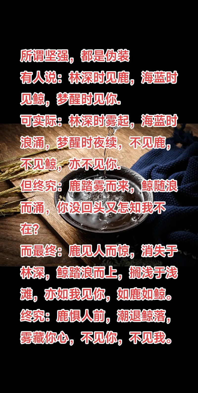 林深见鹿打一生肖:林深见鹿打一生肖数字