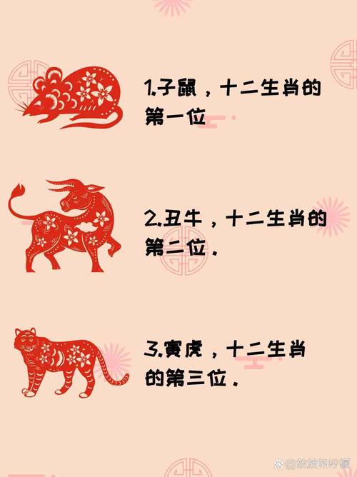 命根子指什么生肖:与八有关的生肖是什么生肖