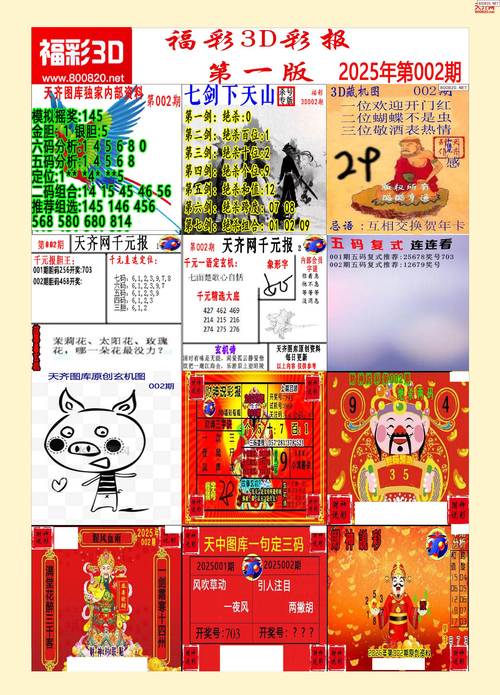 香港图库香港资料库:香港图库香港资料库金花