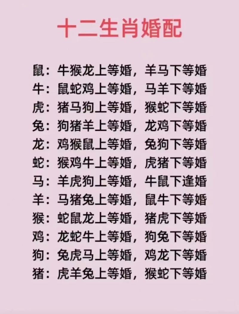 最准确答案是什么生肖:最准的12生肖配对图片
