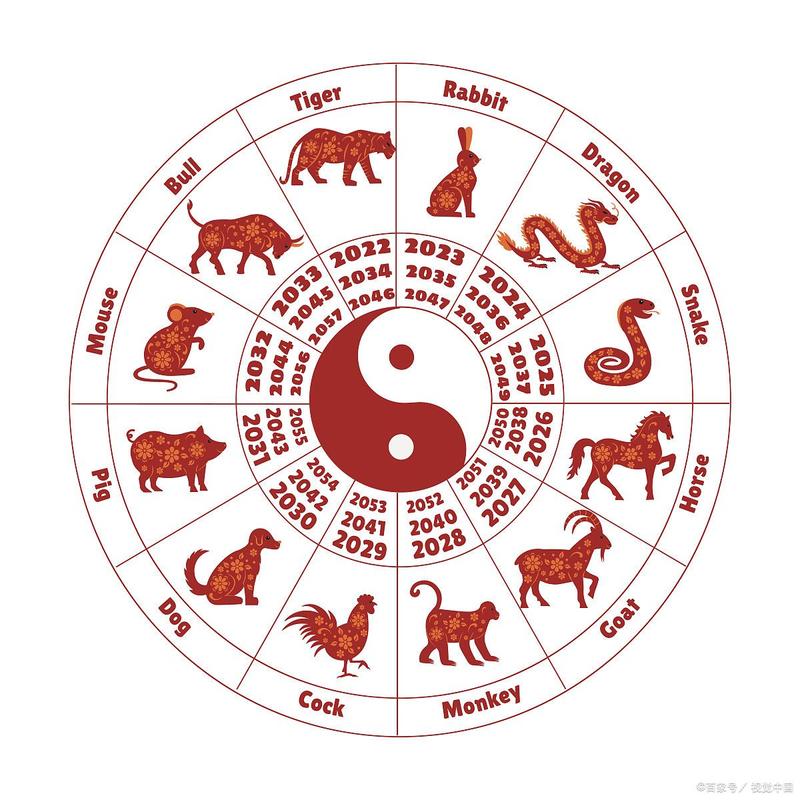 玄机字人代表什么生肖:玄机字代表什么生肖?例如触代表龙