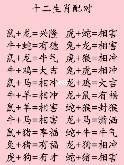 今期生肖对对碰代表什么动物的简单介绍