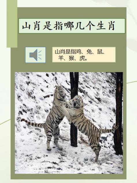 今期生肖定南方解一生肖:生肖今期定单蓝打一肖或数字