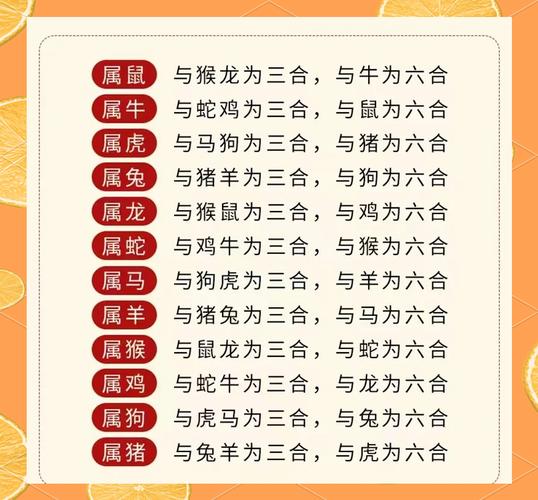 一言九鼎有几肖动物:一言九鼎是什么生肖解个特肖