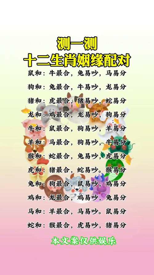 龙鼠和什么生肖最配:龙鼠和什么生肖最配对