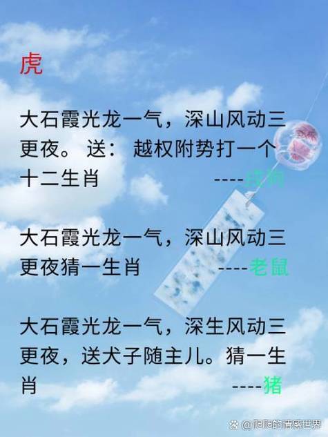 接触打一生肖:接触打一生肖是什么