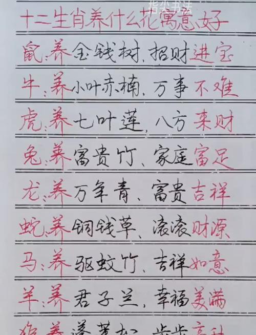 北方歌谣南方调寓意打一生肖:北方歌谣南方调打一生肖是什么
