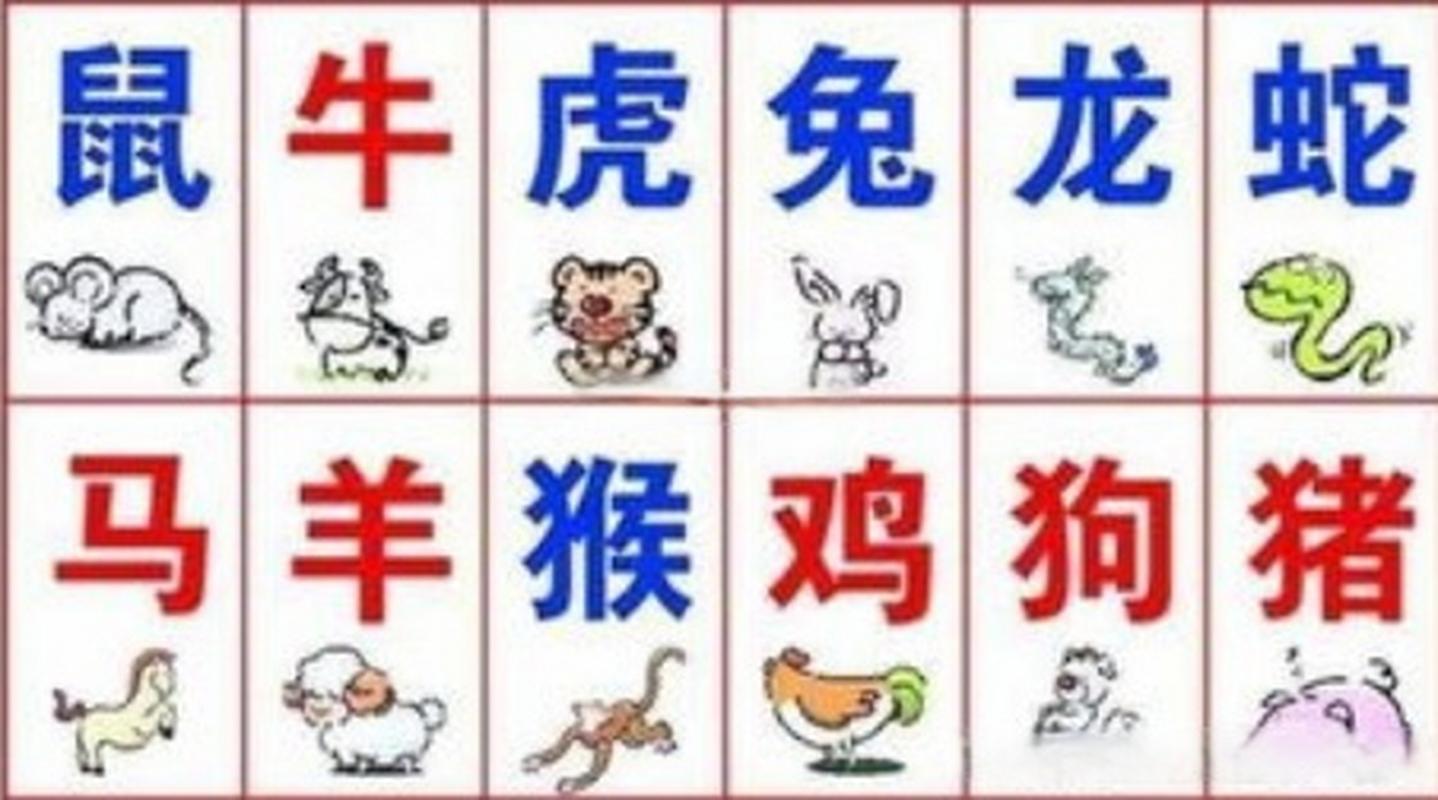 生肖七字开指什么生肖:生肖七字开指什么生肖动物