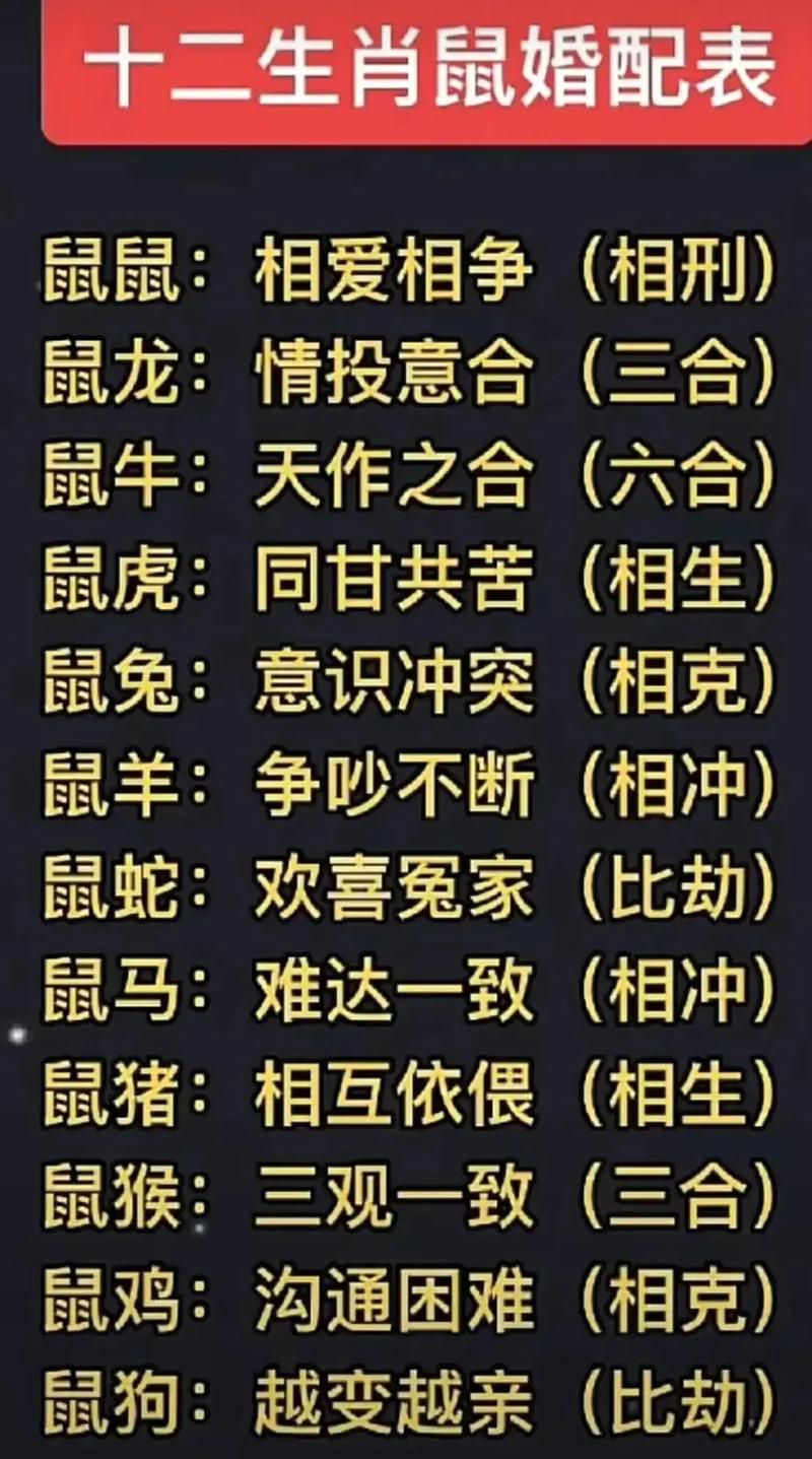 鼠生肖与什么生肖配对:鼠生肖与什么生肖配对最好