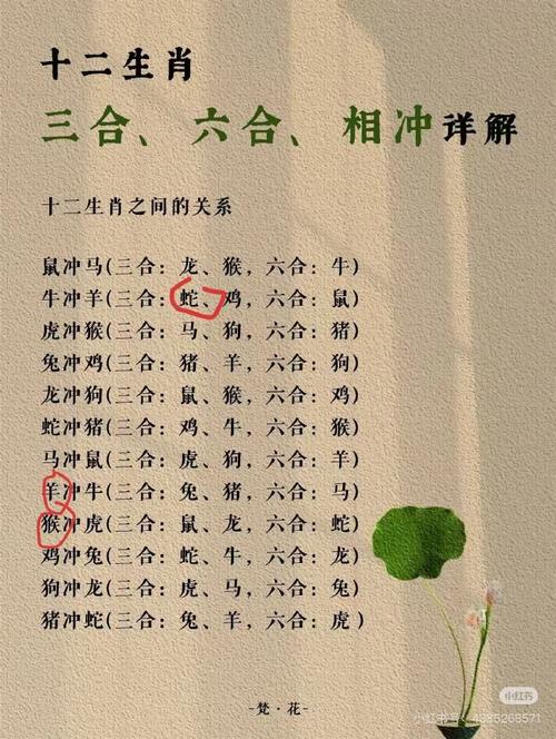 一生一世打一生肖是什么:一生一世指什么生肖的动物