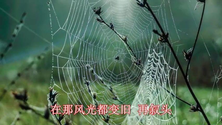 关于似醉未醉打一生肖最佳答案是什么的信息