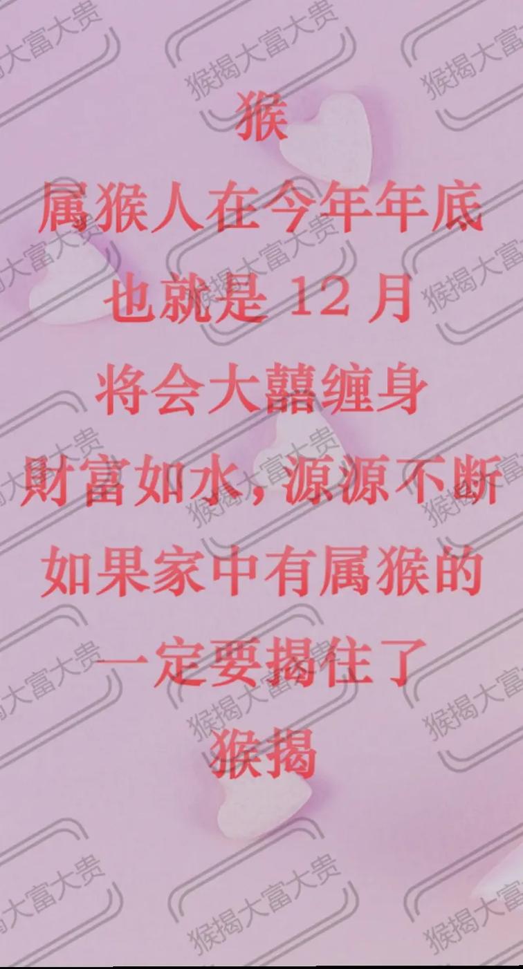 猴猴打一生肖:猴猴打一生肖最佳答案