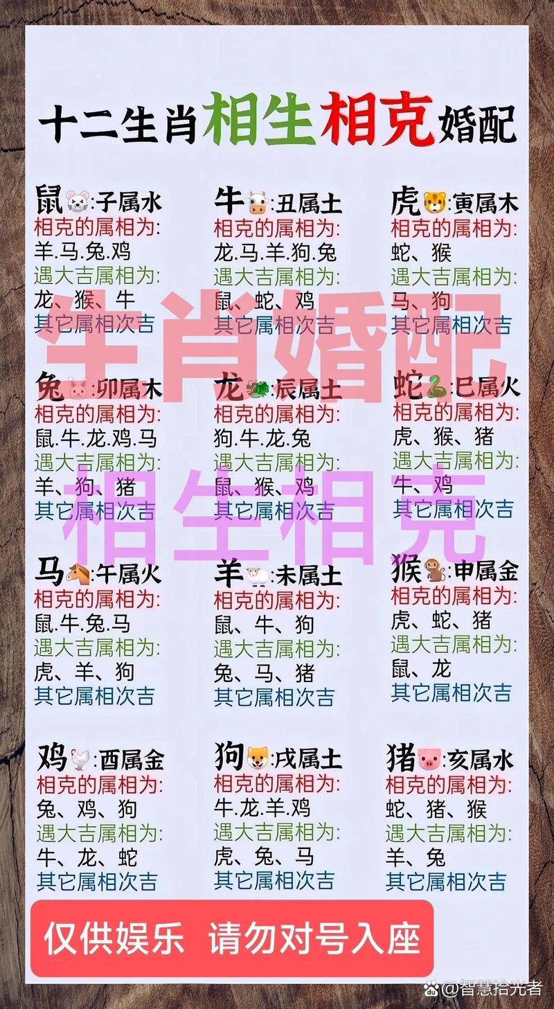 00年属什么生肖配对最合适:00年属什么生肖配对最合适婚姻