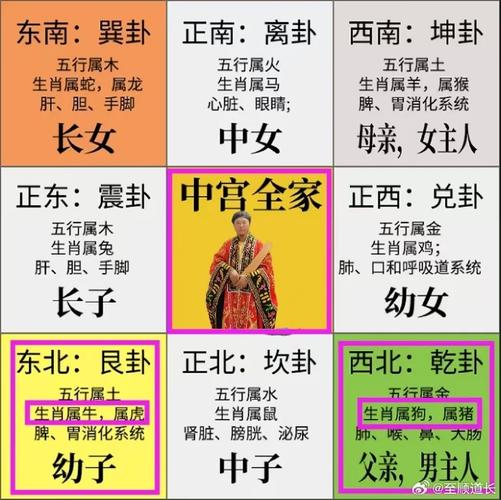 今期生肖出太子:今期生肖出皇宫是什么意思