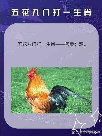 包含“脱僵之马”打一最佳准确生肖的词条
