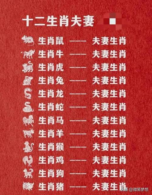 什么生肖配什么什么生肖最好:什么生肖配什么生肖的婚姻最合适
