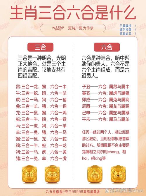 6合是什么数字和生肖:6合数的49个号码什么数字