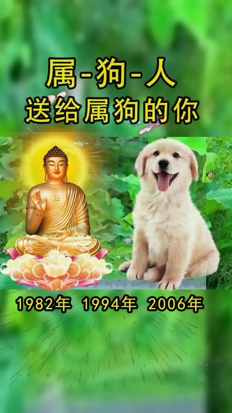 今期生肖最好找的生肖狗:今期生肖最好找的生肖狗是什么