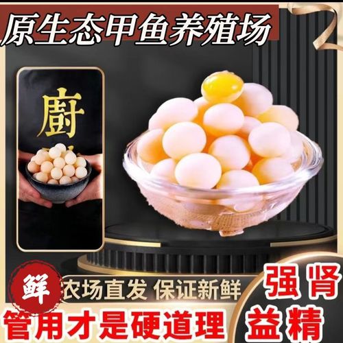 包含“鳖下的王八蛋”打一正确的生肖的词条